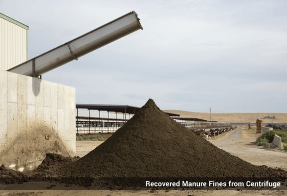 industrial-animal-waste-dairy-manure-fines-3c