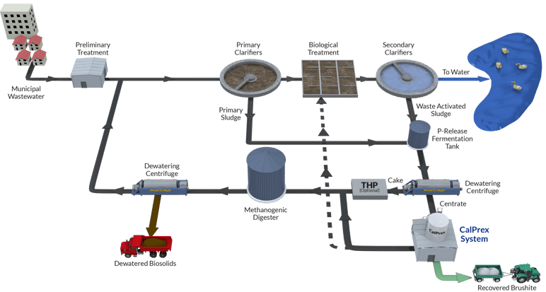 CalPrex-Flow-Diagram-wLabels-2021