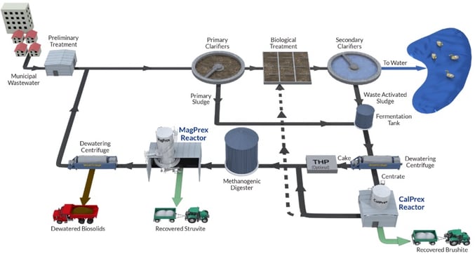 CalPrex-MagPrex-Flow-Diagram-wLabels-2021