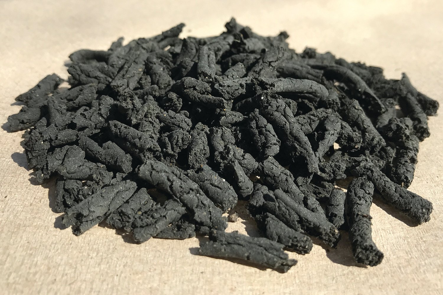 Dryer Biosolids