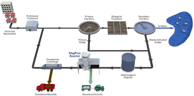 MagPrex Flow Diagram showing biological phosphorus removal wastewater and struvite