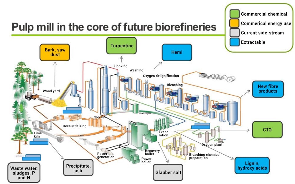 typical-kraft-pulp-mill-diagram-V2-1